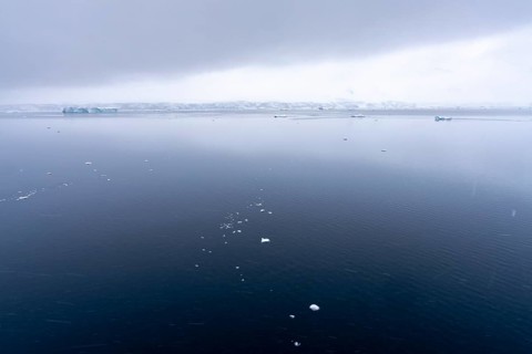 Calm water surface with drifting pieces of ice, glaciated coast and icebergs under cloudy sky in