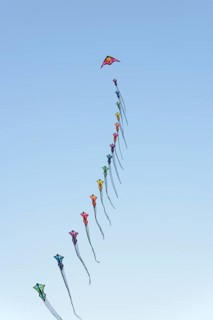 Many colourful wind birds in the blue sky, Drachenwiese, Norddeich, North Sea, Lower Saxony,