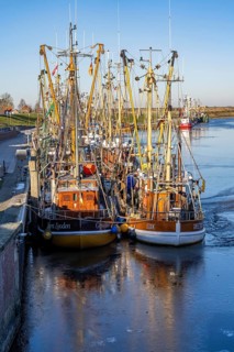The fishing village of Greetsiel, historic fishing harbour, with the largest shrimp cutter fleet in