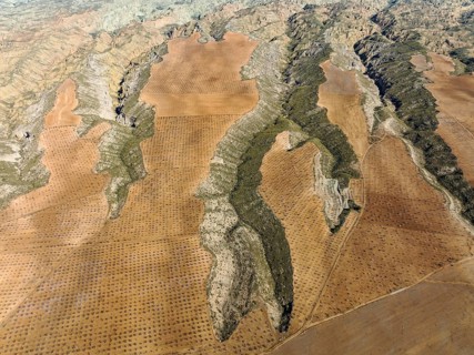 Canyons and gorges cut into the surrounding cultivated land, aerial view, drone shot, Gorafe