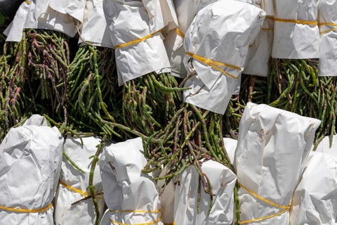 Bundles of fresh asparagus wrapped in paper at a market