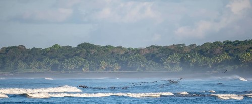 Coastal landscape, sea and sandy beach with rainforest, Corcovado National Park, Osa Peninsula,