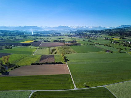 Meadows and fields, in the background the snow-covered Alps and the Rigi, Merenschwand, Reusstal,