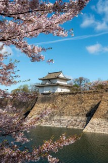 Watch tower at Osaka Castle Wall, blooming cherry trees in a moat park with water, Chuo-ku, Osaka,