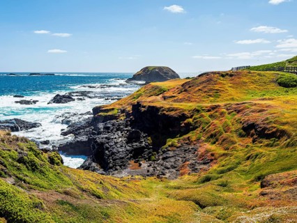 Stunning coastal view with rocky cliffs and vibrant greenery against a bright blue ocean in Phillip