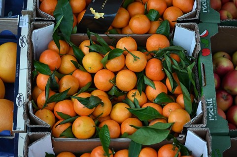 Mandarins (Citrus reticulata) with leaves at a fruit stand, Bavaria Germany