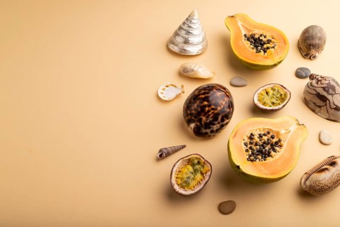 Ripe cut papaya, passion fruit, seashells, pebbles on orange pastel background. Side view, copy