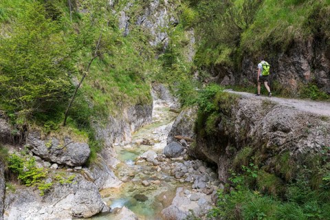Hiking trail through the Almbach Gorge near Ettenberg, Berchtesgadener Land, Bavaria, Germany