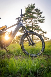 A bicycle stands in the forest during a sunset, surrounded by fresh greenery, Gechingen, Black