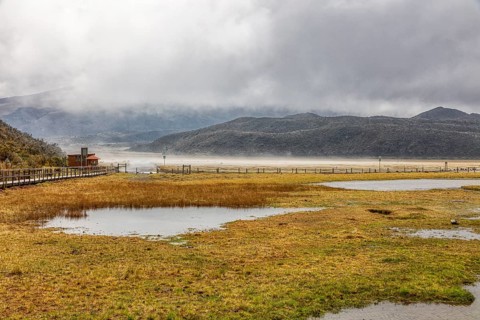 Fog, National Park, Cotopaxi, Ecuador