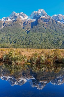 Snow capped mountains reflecting in Lake Matheson, Milford Sound, Fiordland National Park, South