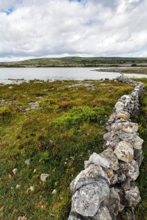 Stone wall as boundary, karst landscape, lake on the horizon, Burren National Park, County Clare,