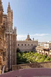 View of the cathedral tower and courtyard with green trees on a sunny day, Seville