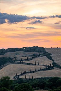 Typical Tuscan landscape in Val d'Orcia with hills, trees, fields, cypresses and farm road in