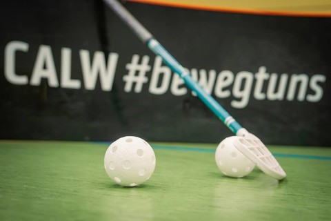 Floorball rackets and balls in front of an advertising gang in a hall, Foolball, Calw, Germany