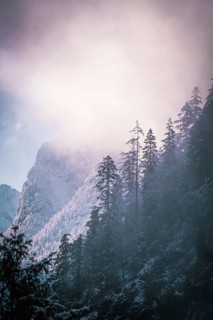 Sunlight breaks through the foggy winter morning over snow-covered trees and mountains,
