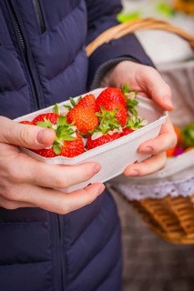 Hands holding fresh strawberries in a container, background with fruit stand, Easter campaign,