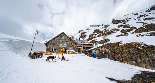 Ski tourers ascending from the Iffigtal to the Wildhornhütte, snow-covered mountain landscape,