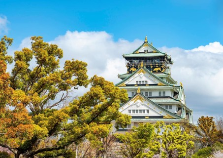 Osaka castle among trees in the park, Osaka Castle Park, Chuo-ku, Osaka, Japan