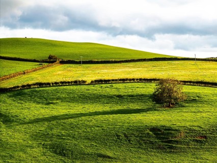 Colours of Devon Farms and Fields over Paignton and Berry Pomeroy from a drone, Totnes, England,