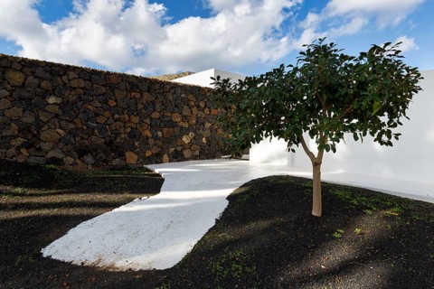 Courtyard, garden, César Manrique House Museum, Haria, Lanzarote, Spain