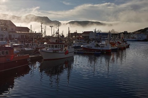 Fog over a harbour full of boats and surrounded by buildings, Honningsvag, Norway
