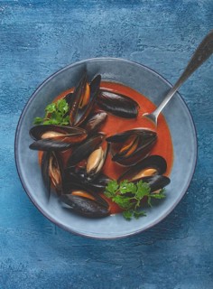 Fra Diavolo mussels, mussels in tomato sauce, Italian dish, on a blue background, homemade, no