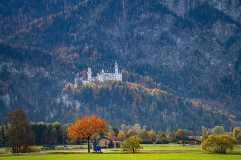 Neuschwanstein Castle in the landscape of Schwangau, Allgäu, Bavaria, Germany