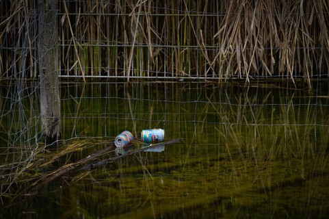Empty beverage cans, beer cans, garbage, lying in water, bird sanctuary, reeds, shore,