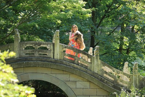 Woman with dog standing on a bridge, Chinese Garden at Duisburg Zoo, Duisburg, North
