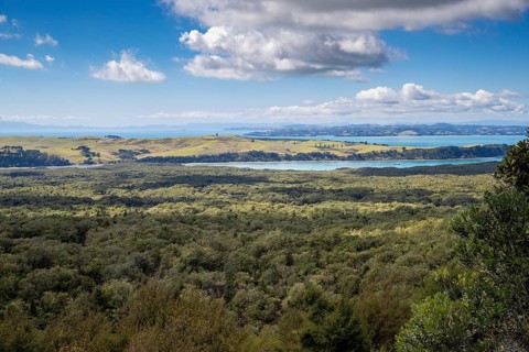 Dense native forest and pohutukawa scrub cover the slopes of Rangitoto Island, with rolling hills