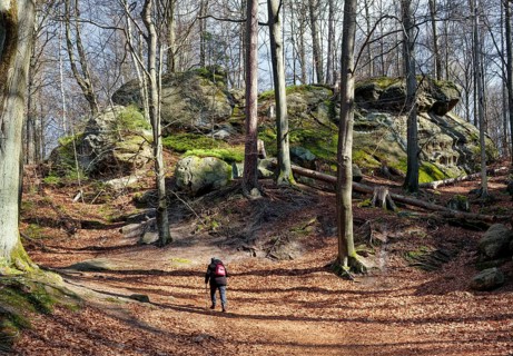 Hiking trail to natural arch Kuhstall, national park, hiking destination, hiking, forest, Elbe