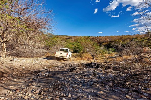 Off-road vehicle drives across a dry, rocky road in the desert, the thornshrub savanna in the