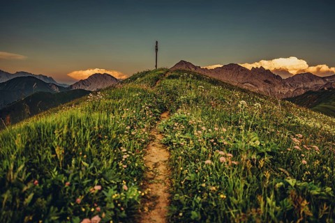 Hiking tour on the Hönig mountain in the Lechtal valley near Berwang in Tyrol, Austria