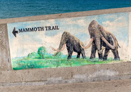 Picture sign for Mammoth Trail, Sheringham, north Norfolk, England, UK