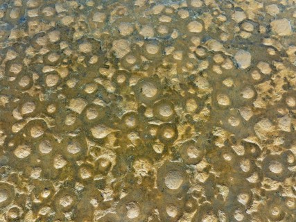 Abstract patterns at low tide in the marshland of the Walvis Bay lagoon. Aerial view. Drone shot.