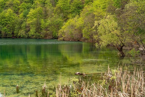 Lake in Plitvice Lakes National Park, Croatia