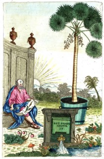 Cover picture of Botanica Pharmaceutica by Andreas Friedrich Happe, Volume IV, 1800, digital