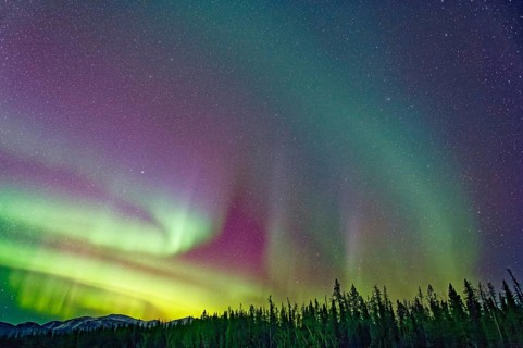 Aurora Borealis, Northern Lights, extreme starry sky, intense colouring, Yukon Territory, Canada