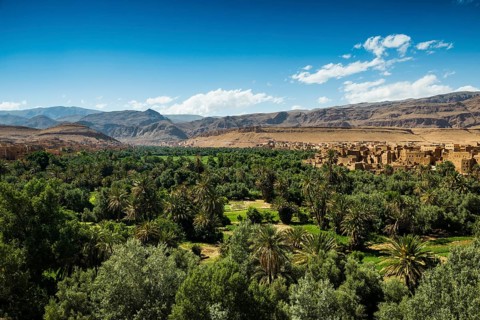 Oasis and city, Tinghir, Drâa-Tafilalet region, Atlas Mountains, Morocco