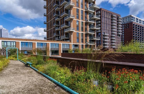 De Groene Kaap residential complex, in the Rotterdam Feijenoord district, on the Maashaven,