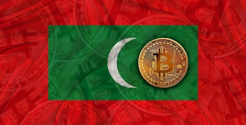 Investors in Blockchain Technology with Maldives flag background. Bitcoin cryptocurrency with