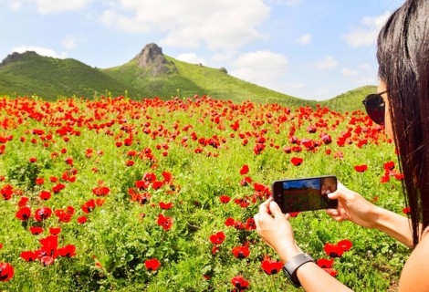 Young caucasian female person take photograph with mobile phone beautiful blooming mountains
