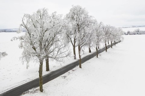 Aerial view of a country road with trees in the snow, Oederan, Saxony, Germany