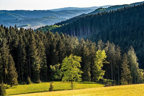 Sauerland landscape near Altastenberg, in the Hochsauerland district, North Rhine-Westphalia,