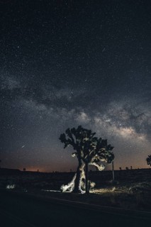 Starry sky with the Milky Way in Joshua Tree National Park