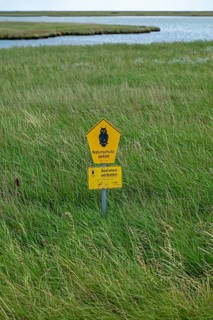 Sign, reed, nature reserve sign, coast near Maasholm, Schleswig-Holstein, Germany