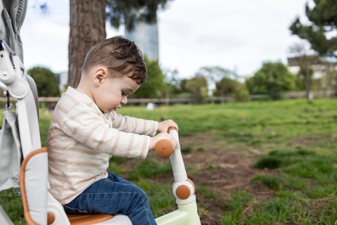 A curious baby enjoys a sunny day in the park, riding a tricycle and exploring the green