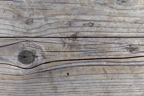 Old wooden gray-brown texture of the board in the park