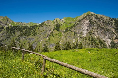 View from the Untere Lugenalpe to the Laufbacher-Eck-Weg and Schochen, 2100m, Allgäu Alps, Allgäu,